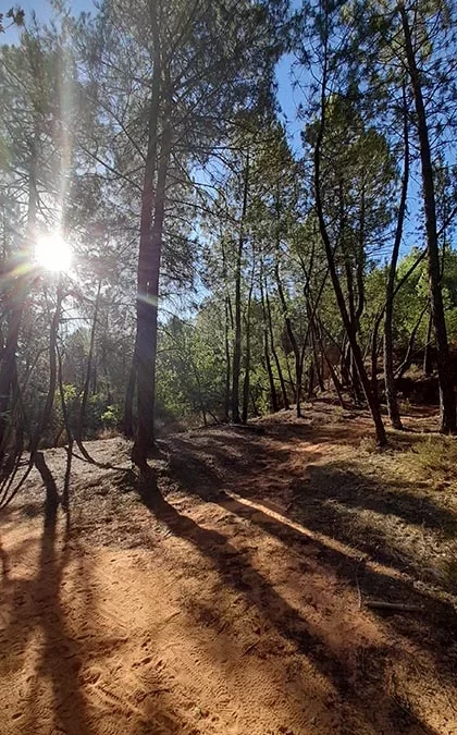 Interdiction de chasse les mercredis